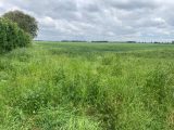 1862862-1807annonce120240524g3iLB.jpeg Maisons Open