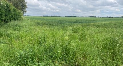 Provin Terrain à bâtir - 1862862-1807annonce120240524g3iLB.jpeg Maisons Open