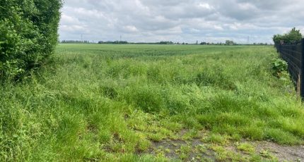 Provin Terrain à bâtir - 1862862-1807annonce220240524C2df0.jpeg Maisons Open