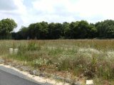  1864844-961annonce120240527Gw44S.jpeg Maisons Open
