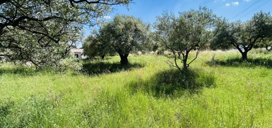 Terrain à bâtir à Flayosc, Provence-Alpes-Côte d'Azur