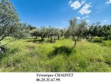  1862998-4529annonce220240524haS1H.jpeg Maisons Open