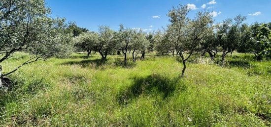 Terrain à bâtir à , Var