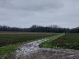  1859911-9435annonce120240521VIJJX.jpeg Maisons Open