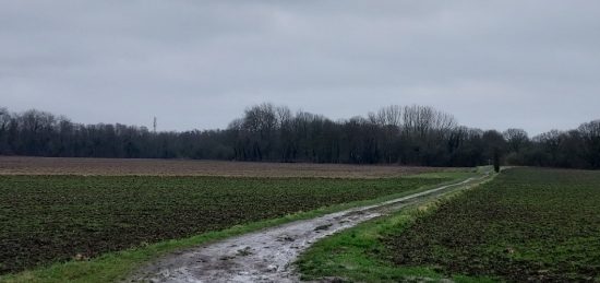 Terrain à bâtir à Carvin, Hauts-de-France