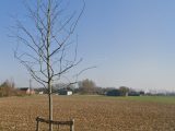 1860168-9435annonce220240521iBKuU.jpeg Maisons Open
