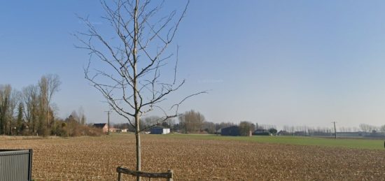 Terrain à bâtir à , Pas-de-Calais