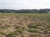  1865462-6150annonce320230123wSt8B.jpeg Maisons Open