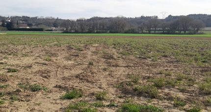 Montboucher-sur-Jabron Terrain à bâtir - 1865462-6150annonce320230123wSt8B.jpeg Maisons Open