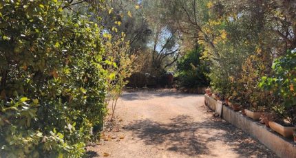 Toulon Terrain à bâtir - 1866729-7048annonce2202405298lHhU.jpeg Maisons Open