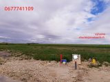  1867238-5754annonce1202405292zwps.jpeg Maisons Open