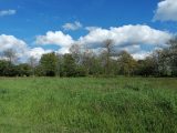  1866302-5869annonce220240528DKDRg.jpeg Maisons Open