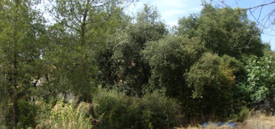 Terrain à bâtir à , Var