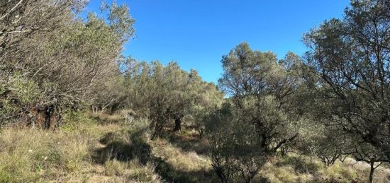 Terrain à bâtir à , Var