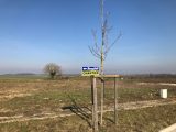  1876446-5914annonce120240610kApwX.jpeg Maisons Open