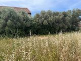  1871120-7060annonce220240603Dzxq0.jpeg Maisons Open