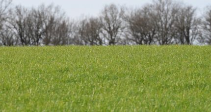 Véretz Terrain à bâtir - 1878551-10042annonce120221018WBmOv.jpeg Maisons Open