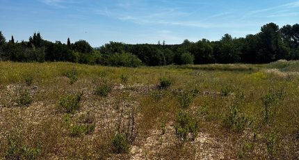 Peynier Terrain à bâtir - 1876249-7054annonce220240610wiwid.jpeg Maisons Open