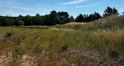 Peynier Terrain à bâtir - 1876249-7054annonce2202406111MgkT.jpeg Maisons Open