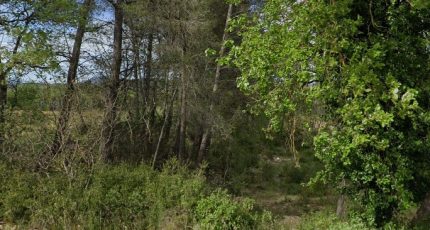 Brignoles Terrain à bâtir - 1876662-7054annonce220240611iUh0V.jpeg Maisons Open