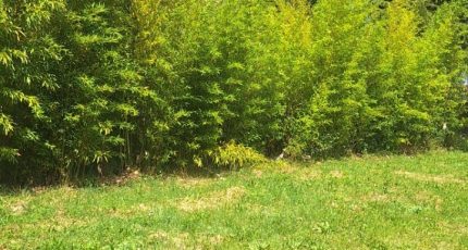 Toulouse Terrain à bâtir - 1872426-3575annonce120240604CJKHR.jpeg Maisons Open