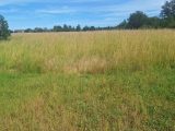  1880680-3575annonce120240614HPzeR.jpeg Maisons Open