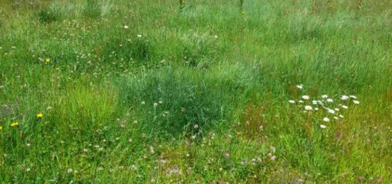 Terrain à bâtir à Chaptelat, Nouvelle-Aquitaine