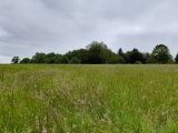  1875465-10865annonce220240607XKF5y.jpeg Maisons Open
