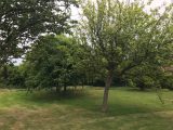  1879416-10631annonce120240613nyntK.jpeg Maisons Open