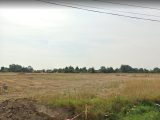  1879522-10631annonce120240613vLR08.jpeg Maisons Open