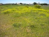  1868328-609annonce120240530ApMAK.jpeg Maisons Open