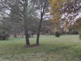  1874689-10744annonce120240130kCgyT.jpeg Maisons Open
