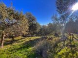  1881832-3059annonce120240614A1m2q.jpeg Maisons Open