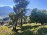  1883868-3059annonce120240215AZ5OT.jpeg Maisons Open