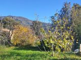  1880922-10316annonce320240614gJ6N5.jpeg Maisons Open