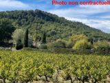  1884053-7050annonce120240618yglBh.jpeg Maisons Open