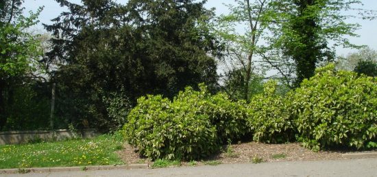 Terrain à bâtir à La Croix-en-Brie, Île-de-France