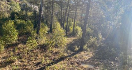 Brignoles Terrain à bâtir - 1879884-10122annonce220240613dGutJ.jpeg Maisons Open