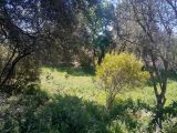  1879911-10122annonce420240613vsNBG.jpeg Maisons Open