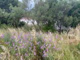  1880117-10122annonce420240613c9yZD.jpeg Maisons Open
