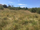  1870882-2970annonce220240603xFLR1.jpeg Maisons Open