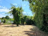  1870894-2970annonce3202406038u1FM.jpeg Maisons Open