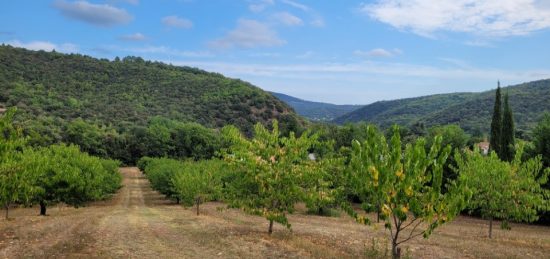 Terrain à bâtir à Céret, Occitanie