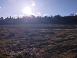  1870566-5100annonce2202406035rApJ.jpeg Maisons Open