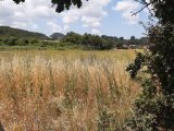  1887270-10682annonce120240621V9Ebk.jpeg Maisons Open