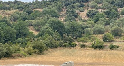 Prades Terrain à bâtir - 1887406-5472annonce120240622x2ypR.jpeg Maisons Open