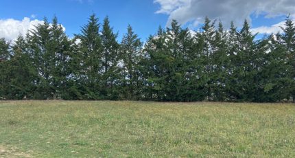 Brunet Terrain à bâtir - 1889238-7008annonce120240625rTDvF.jpeg Maisons Open