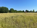  1889849-1691annonce1202406260fcry.jpeg Maisons Open
