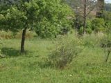  1887827-10744annonce1202402206lRAV.jpeg Maisons Open