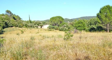 Carcès Terrain à bâtir - 1887835-10744annonce120240223E71GG.jpeg Maisons Open